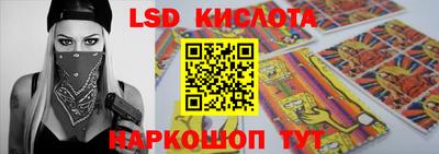 стафф Кингисепп