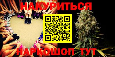 стафф Кингисепп
