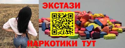 стафф Кингисепп