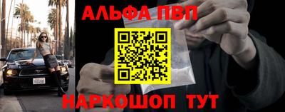 стафф Кингисепп