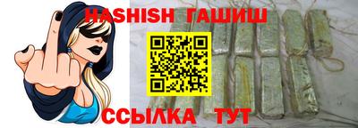 стафф Кингисепп